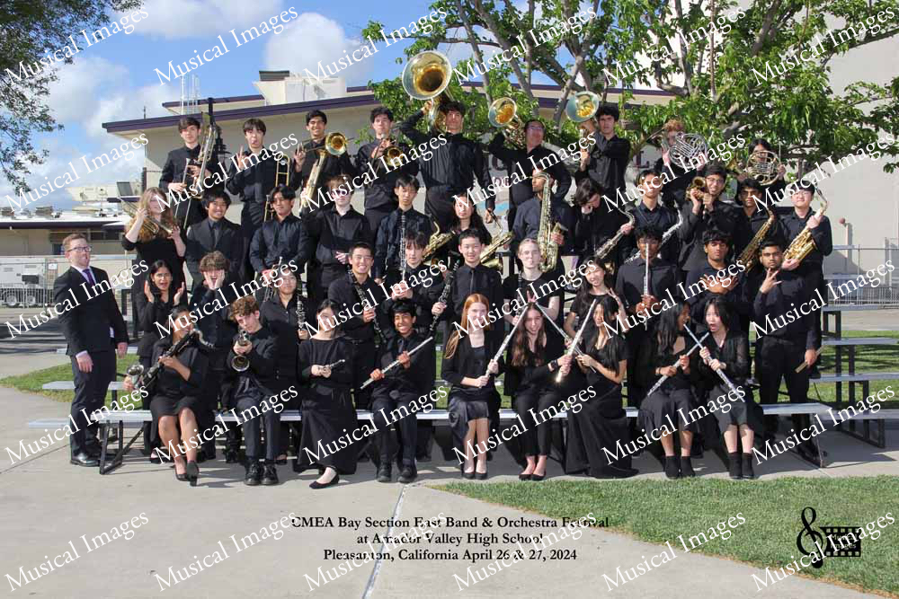Musical Images